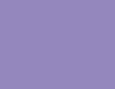 violet_panel.jpg (1851 bytes)